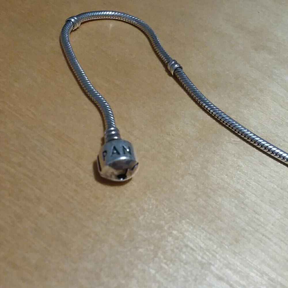 Pandora Bracelet & Charms